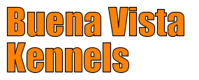 Buena Vista  Kennels